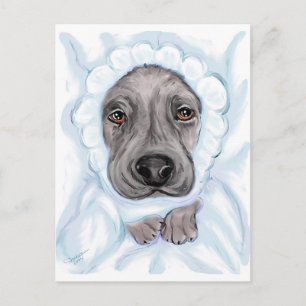 Great Dane Baby Black Boy Announcement Postcards
