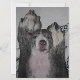 Great Dane Birthday Invitation