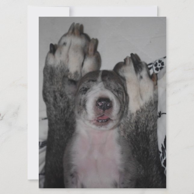 Great Dane Birthday Invitation (Back)