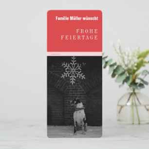 Great Dane black red