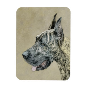 Great Dane (Brindle) Painting - Original Dog Art Magnet
