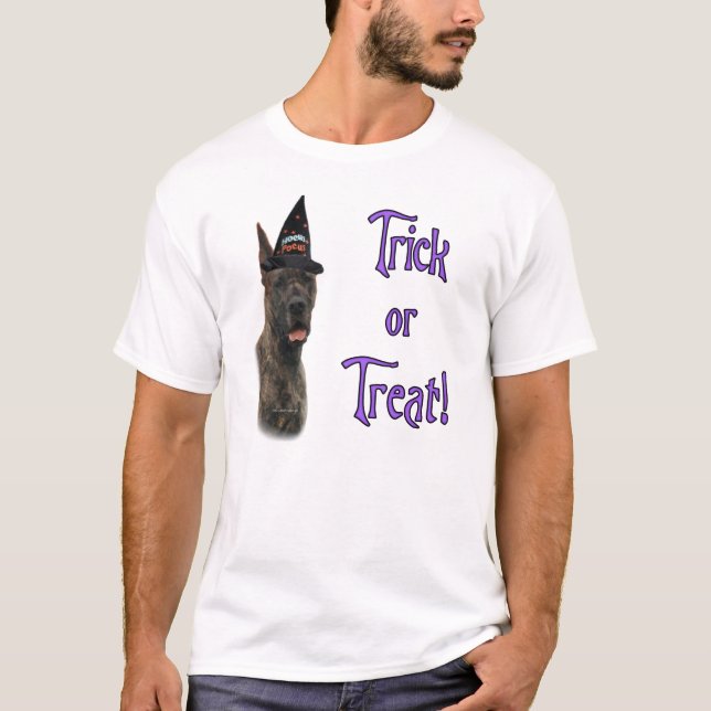 Great Dane (brindle) Trick T-Shirt (Front)