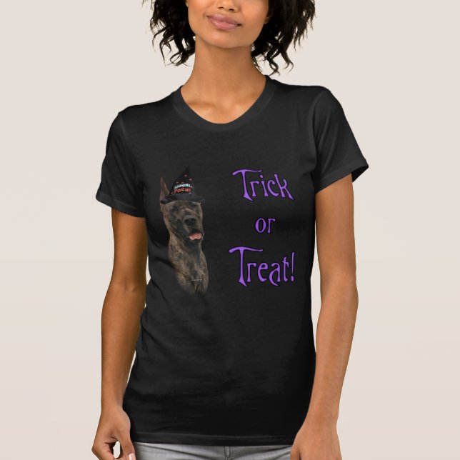 Great Dane (brindle) Trick T-Shirt (Front)