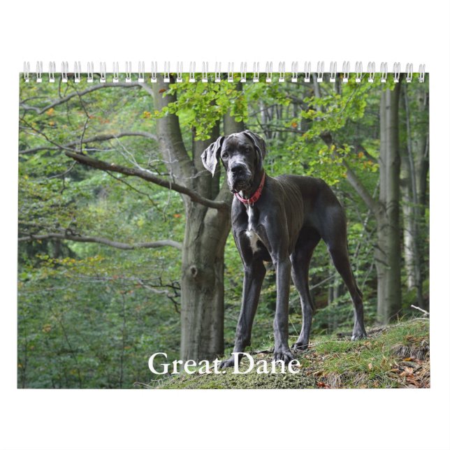 Great Dane Calendar (Cover)