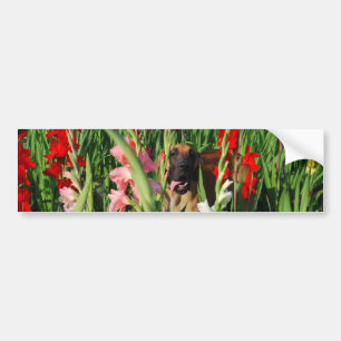 Great Dane car Sticker