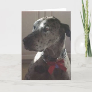 Great Dane Card