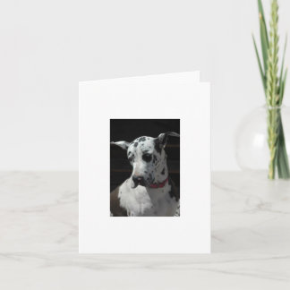 Great Dane Card all occasion
