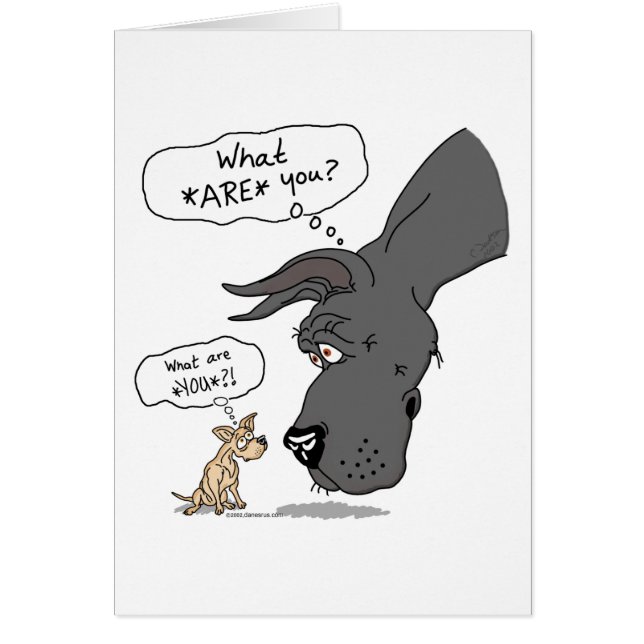 Great Dane & Chihuahua Black (Front)