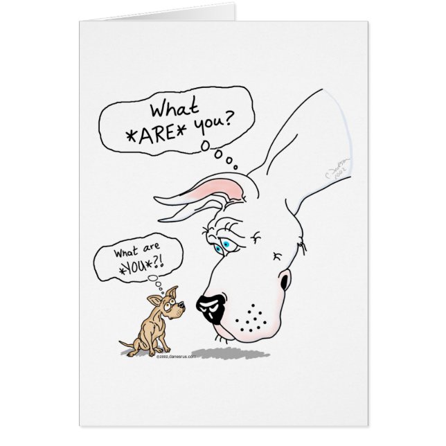 Great Dane & Chihuahua White (Front)