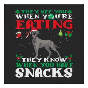 Great Dane Christmas fun Classic T-Shirt Poster