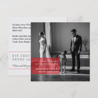 Great Dane Christmas Holiday Card