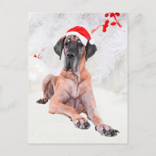 Great Dane Christmas Holiday Postcard
