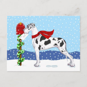 Great Dane Christmas Mail Harlequin UC Holiday Postcard
