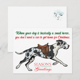 Great Dane Christmas Season Greetings Holiday Card