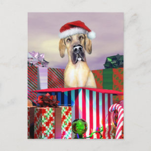 Great Dane Christmas Surprise Fawn UC Holiday Postcard