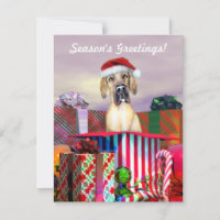 Great Dane Christmas Surprise Fawn UC