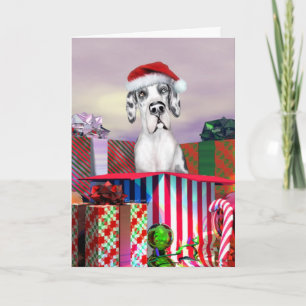 Great Dane Christmas Surprise Harle UC Holiday Card