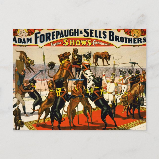 Great Dane Circus Show Postcard (Front)