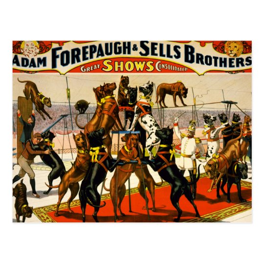 Great Dane Circus Show Postcard