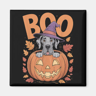 Great Dane Costume On Pumpkin Halloween Great Dane Magnet