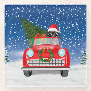 Great Dane Dog Driving Car In Snow Christmas  Glass Coaster