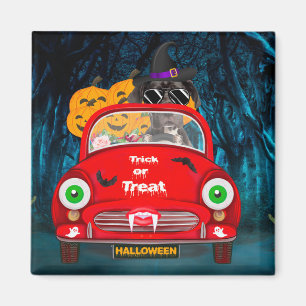 Great Dane Dog Driving Car Scary Halloween Magnet