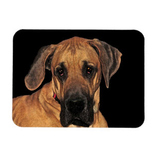 Great Dane Dog Flexible Magnet