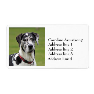 Great Dane dog harlequin custom address labels