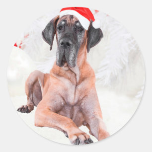 Great Dane Dog Hat Merry Christmas Classic Round Sticker