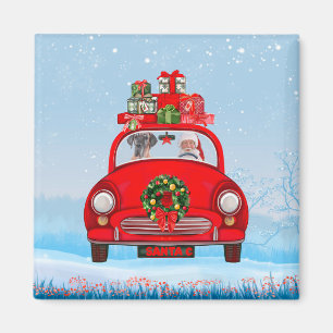 Great Dane Dog In Car With Santa Claus  Magnet