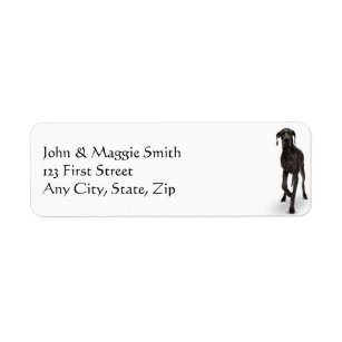 Great Dane  Dog Pet Animal Return Address Label