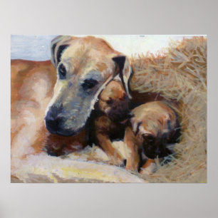 Great Dane Dog Portrait Poster