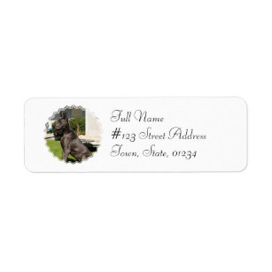 Great Dane Dog Return Address Label