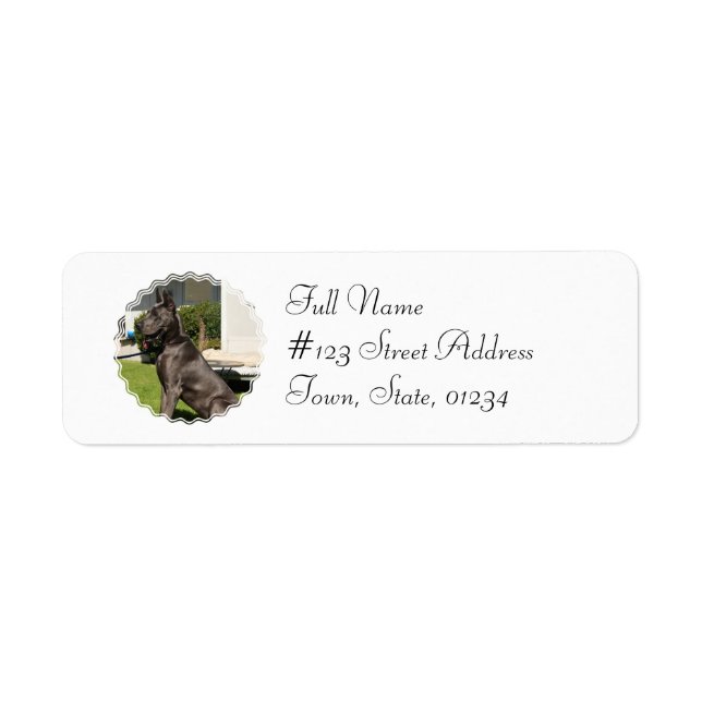 Great Dane Dog Return Address Label (Front)