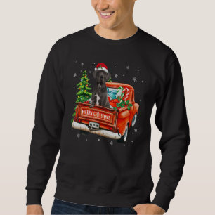 Great Dane Dog Ride Red Truck Christmas Dog Pajam Sweatshirt