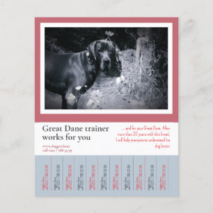 Great Dane Dog Trainer Flyer
