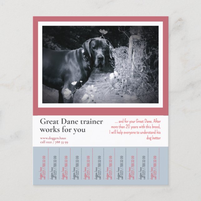 Great Dane Dog Trainer Flyer (Front)