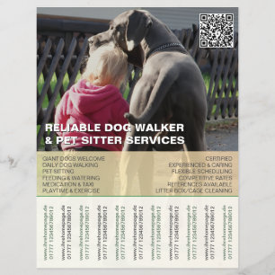 Great Dane Dog Walker Sitter  Flyer