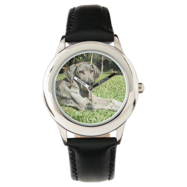 Great Dane Dog Watch (Front)