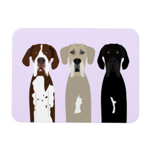 Great Dane Dogs Magnet