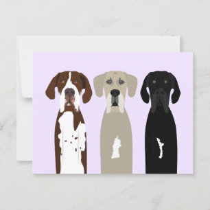 Great Dane Dogs Postcard