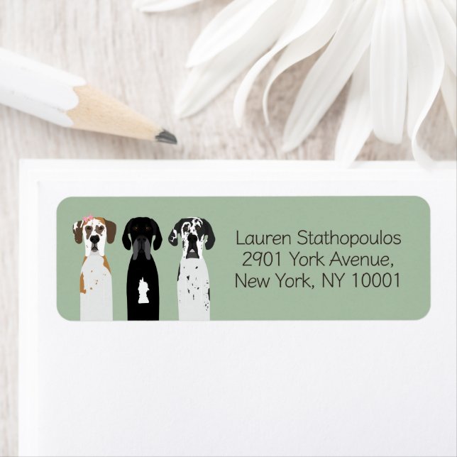 Great Dane Dogs Return Address Label (Insitu)