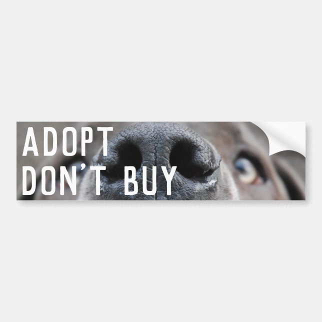 Great Dane Face Nose Bumper Sticker (Front)