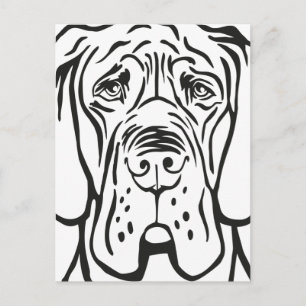 Great Dane Face Postcard