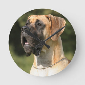 Great Dane - fawn / Deutsche Dogge - gelb Round Clock