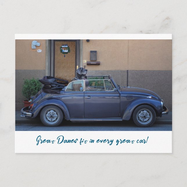 Great Dane fits in a Beetle Postcard (Front)