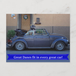 Great Dane fits in a Beetle Postcard
