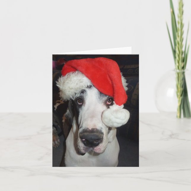 Great Dane 'Gunner' as Santa Greeting Card (Front)