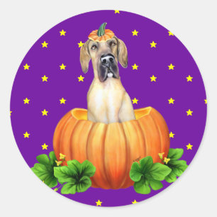 Great Dane Halloween Fawn UC Dane-O-Lantern Classic Round Sticker