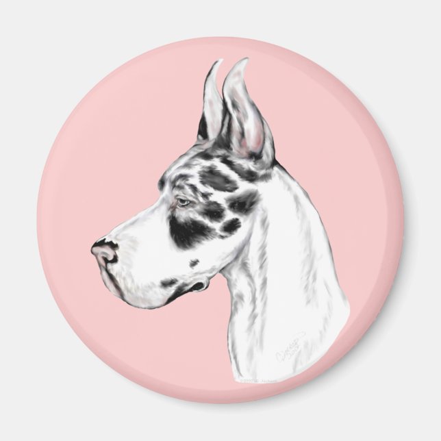 Great Dane Harlequin Feminine Magnet (Front)